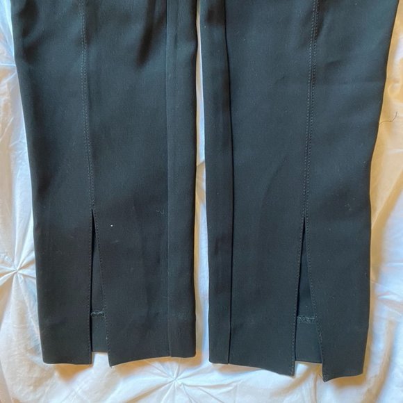 Aritzia Babaton Cassatt Pants - Picture 4 of 5